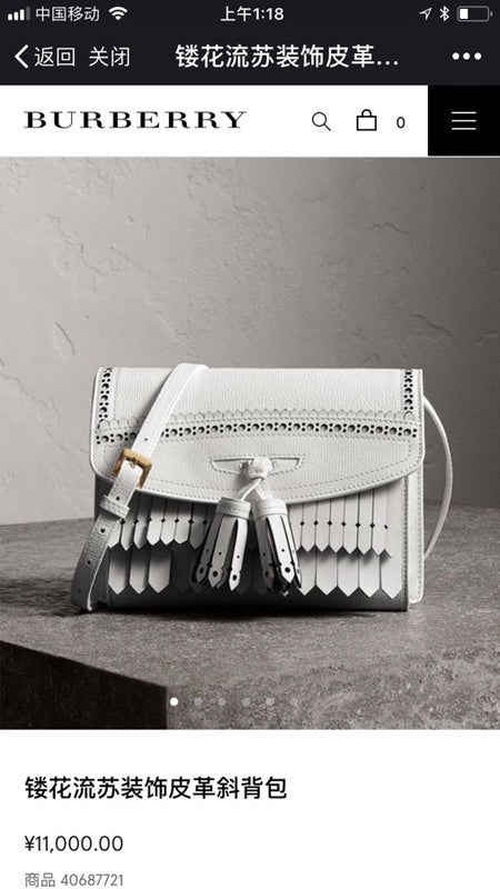 Ozarra Fashion -BBR Bags - 1163