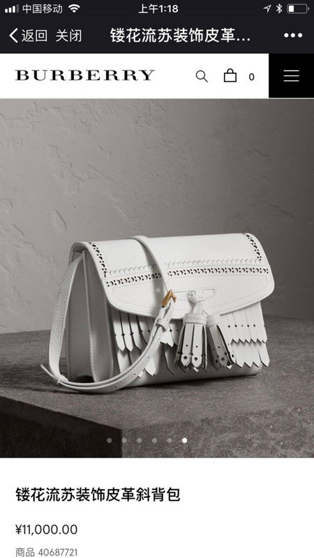 Ozarra Fashion -BBR Bags - 1163