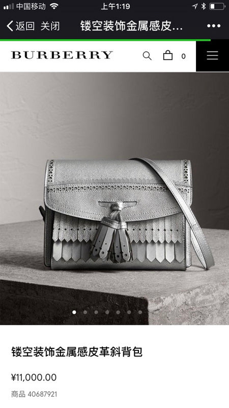 Ozarra Fashion -BBR Bags - 1163