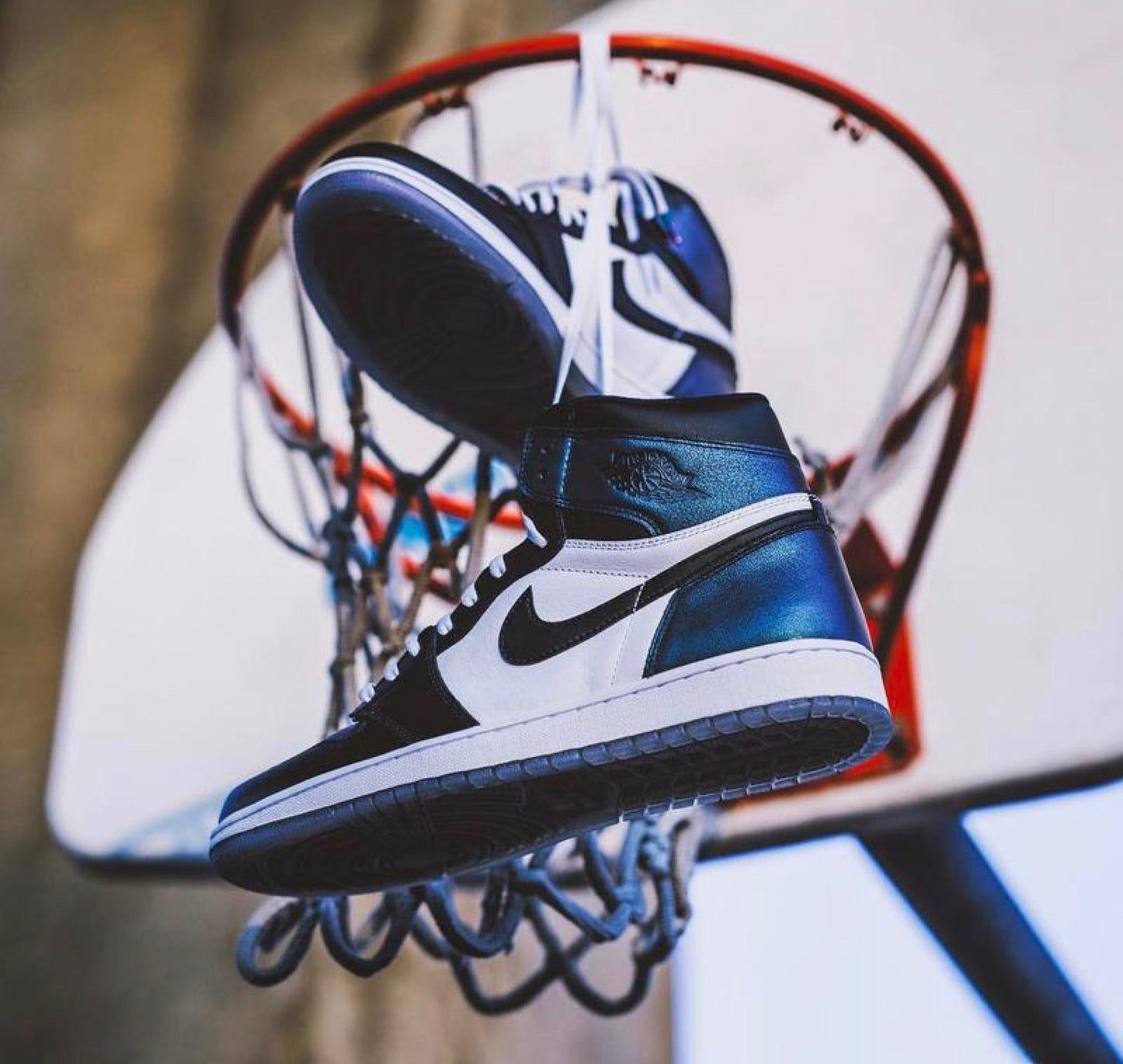 BL - AJ1 All-Star Chameleon