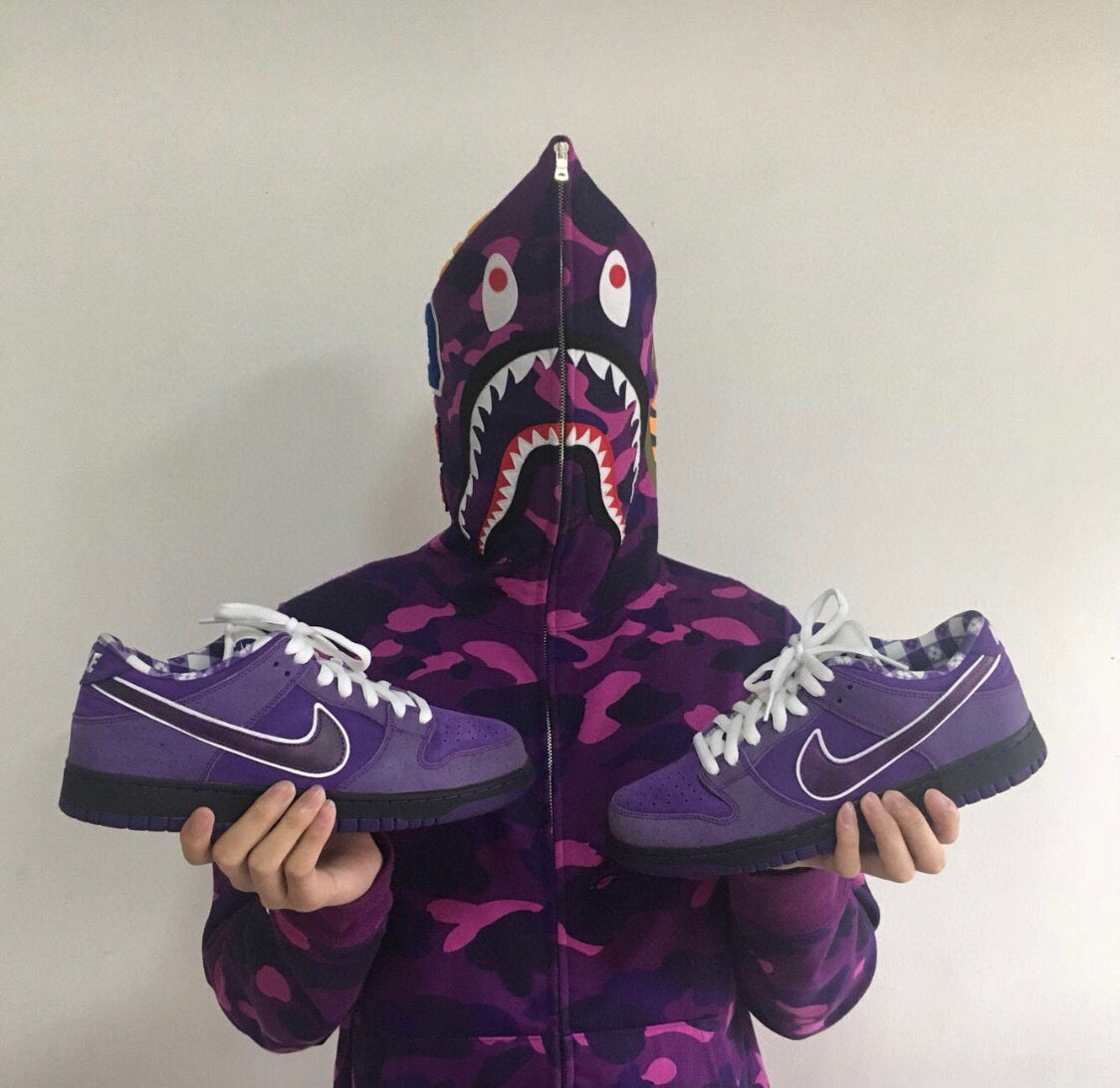 BL - Concepts Purple Lobster