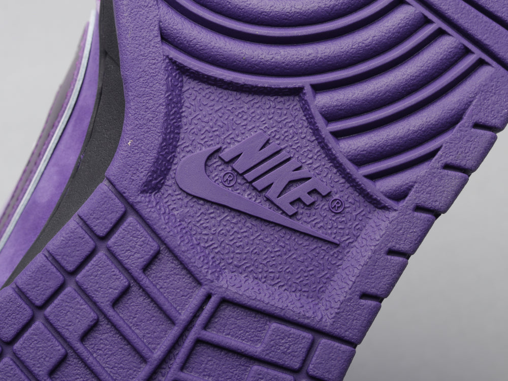 BL - Concepts Purple Lobster