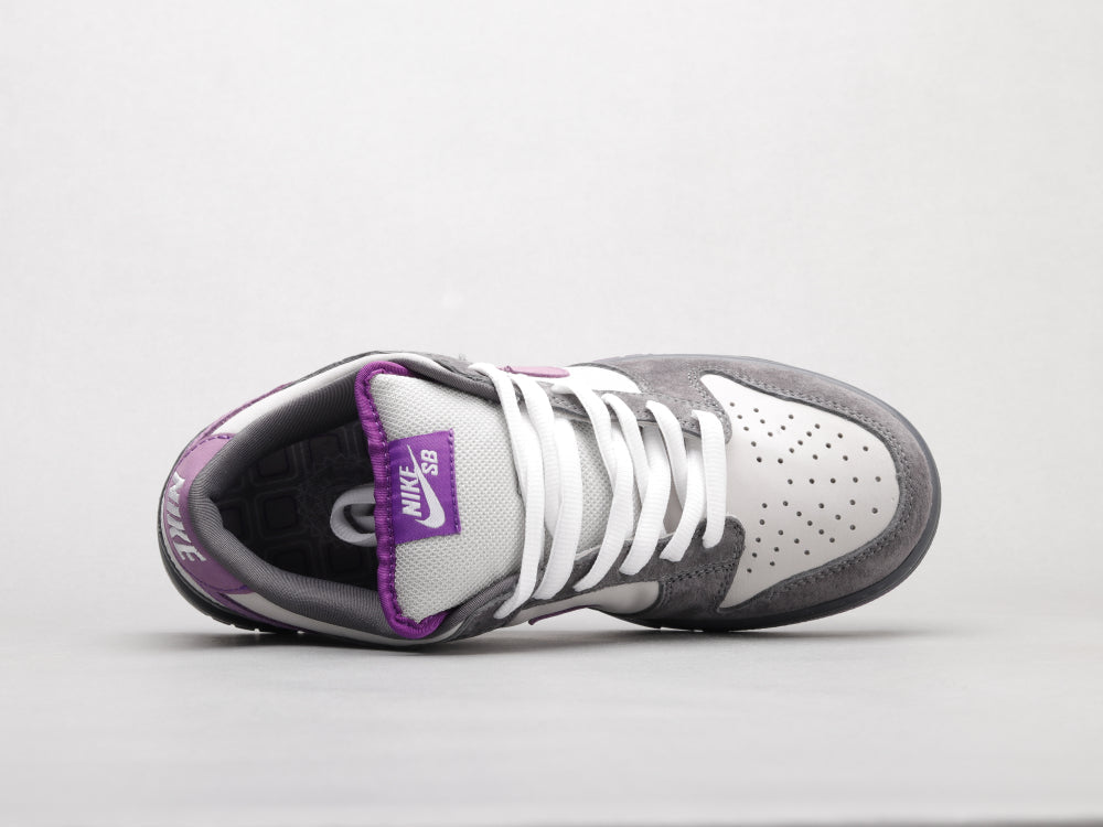 BL - Grey-purple pigeon