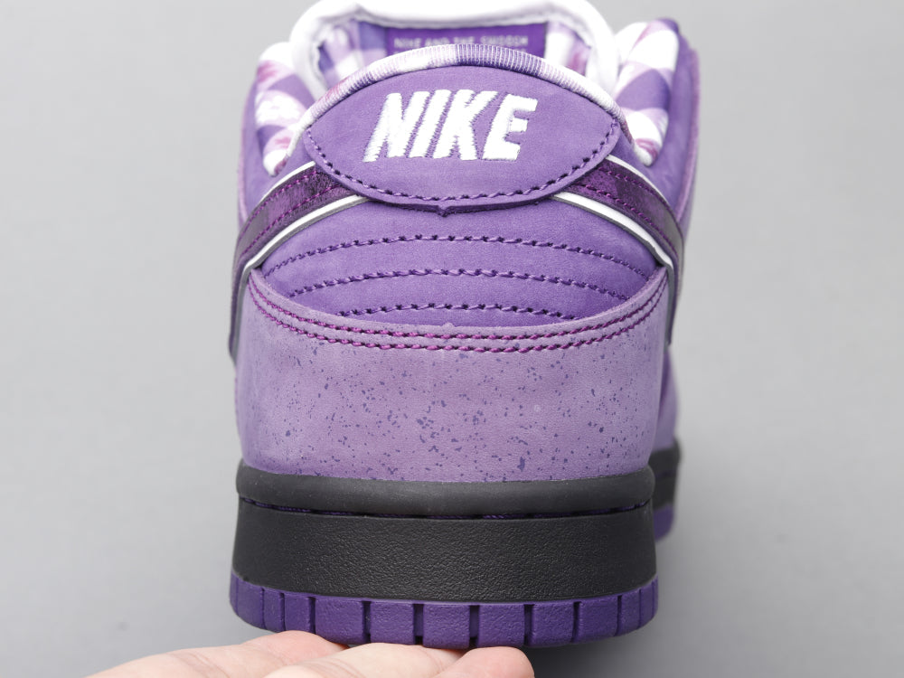BL - Concepts Purple Lobster