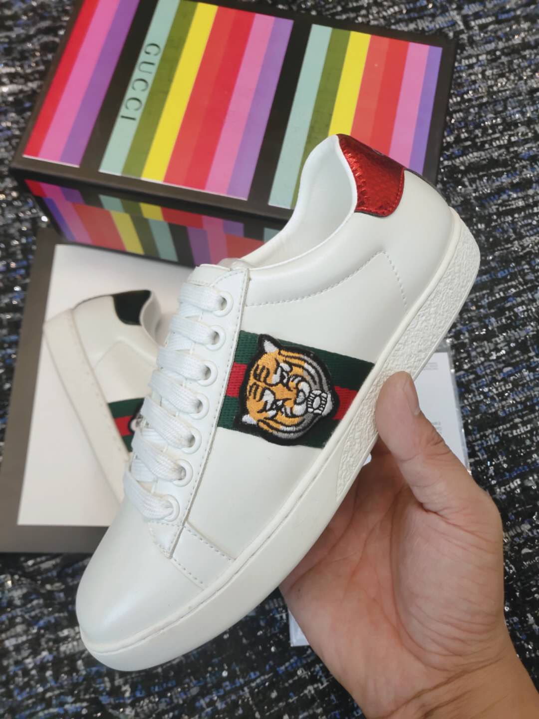 BL-GCI Ace Tiger Sneaker 036