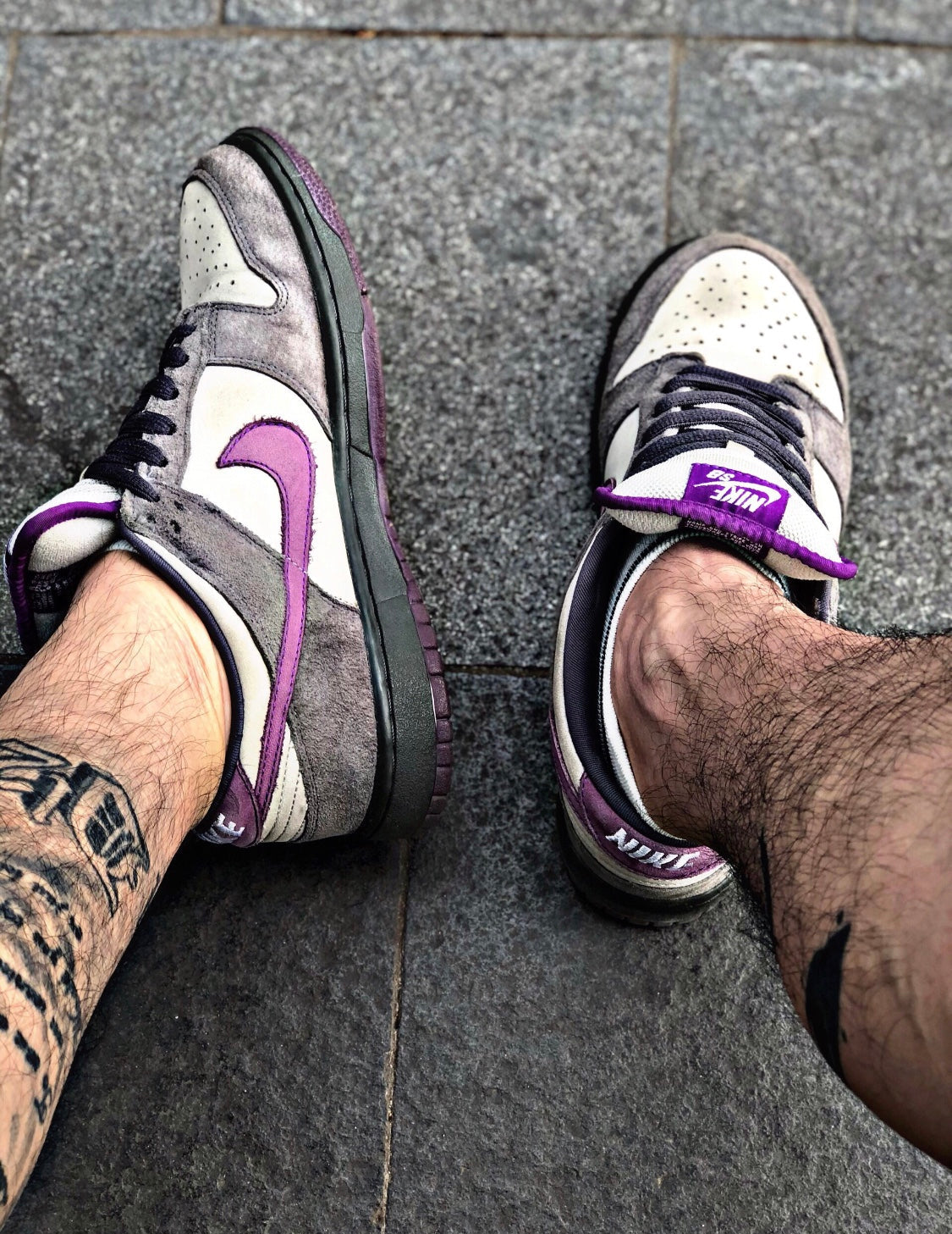 BL - Grey-purple pigeon