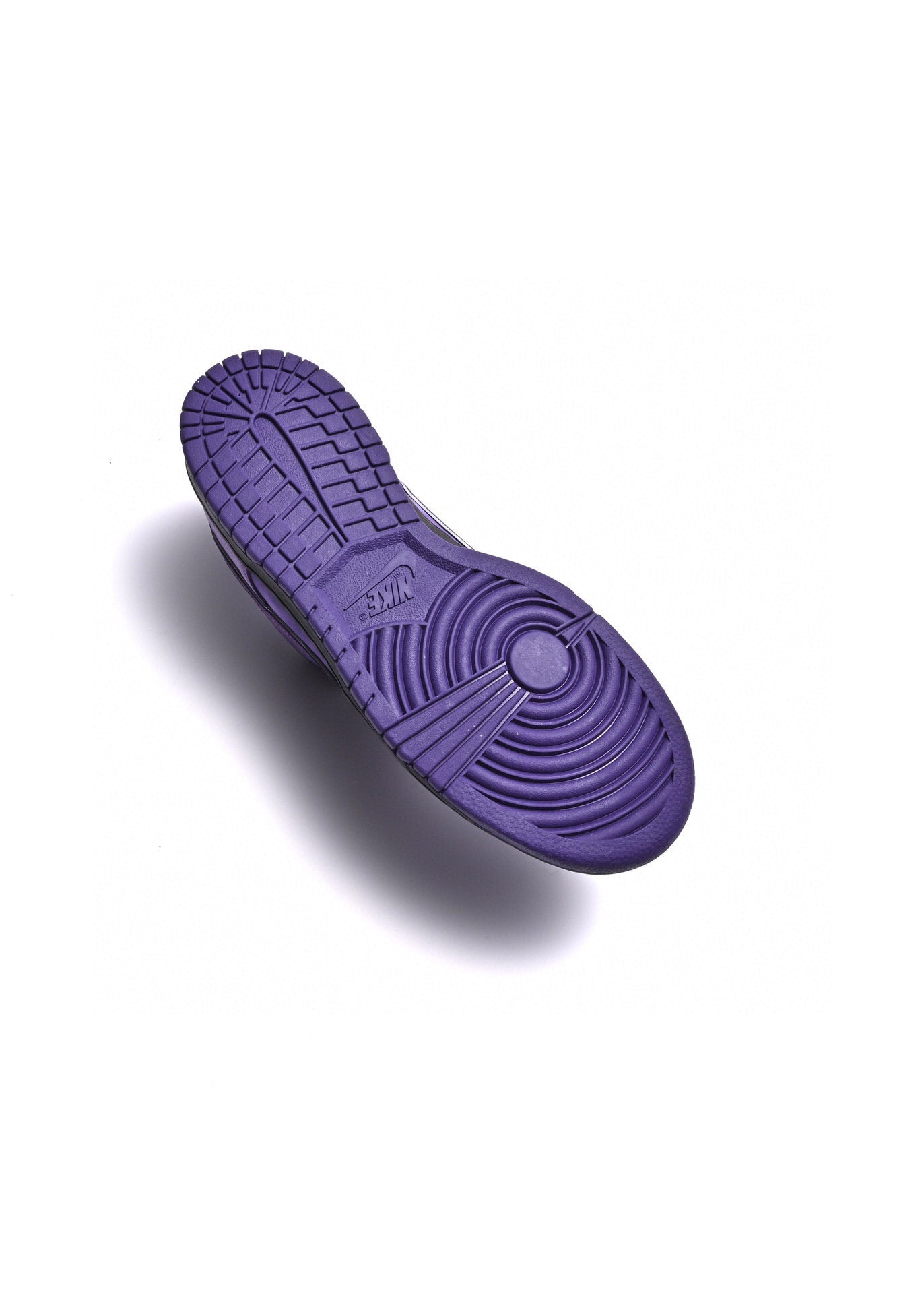 BL - Concepts Purple Lobster