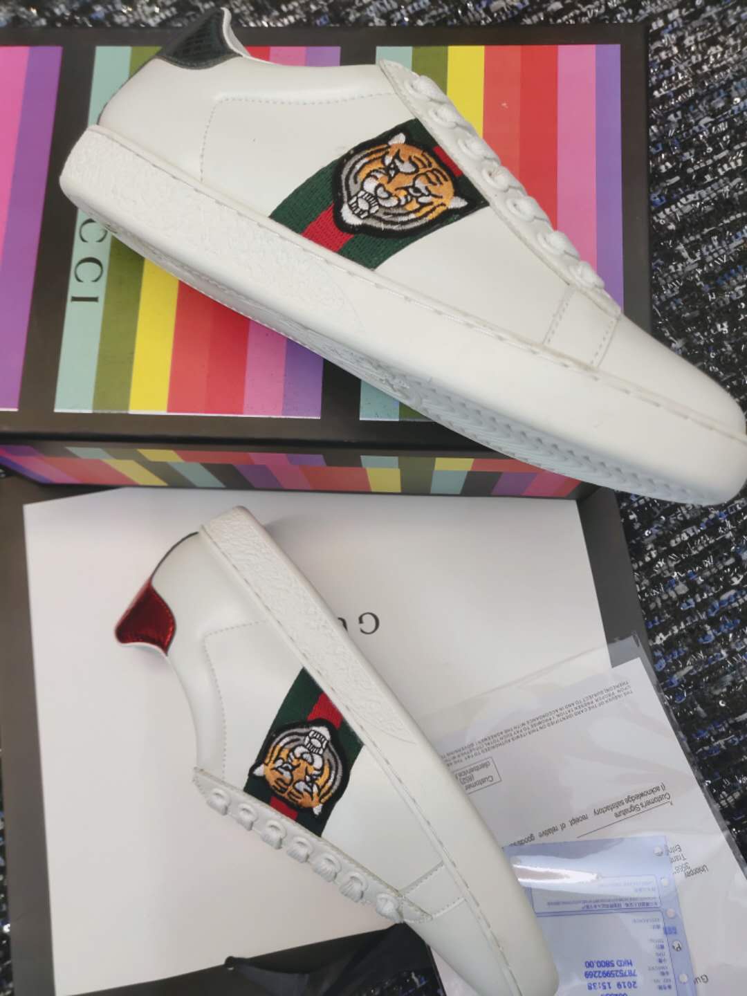 BL-GCI Ace Tiger Sneaker 036
