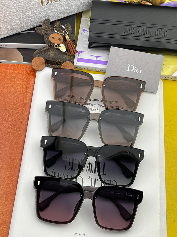 OZ - Dir Sunglasses - 175