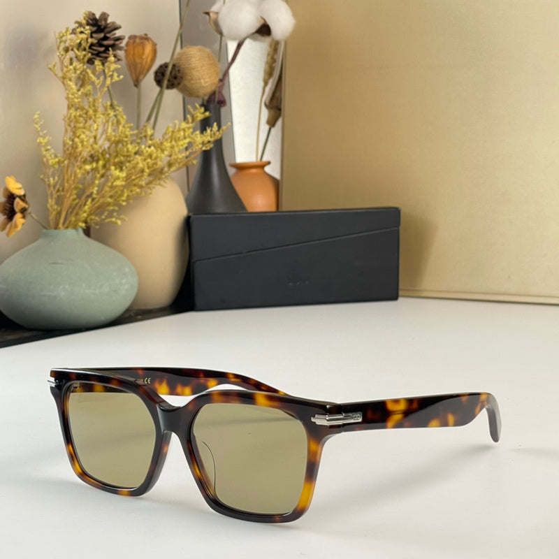 OZ - Dir Sunglasses - 166