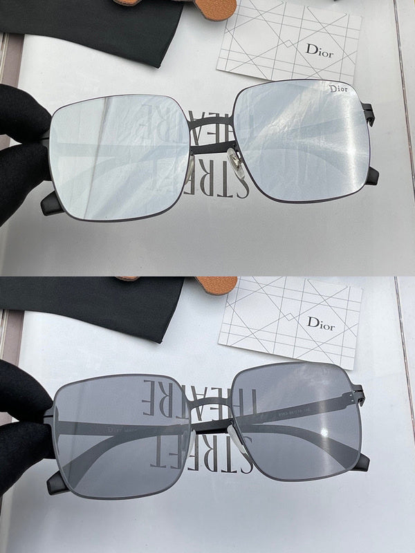 OZ - Dir Sunglasses - 174