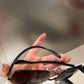 OZ - Dir Sunglasses - 081