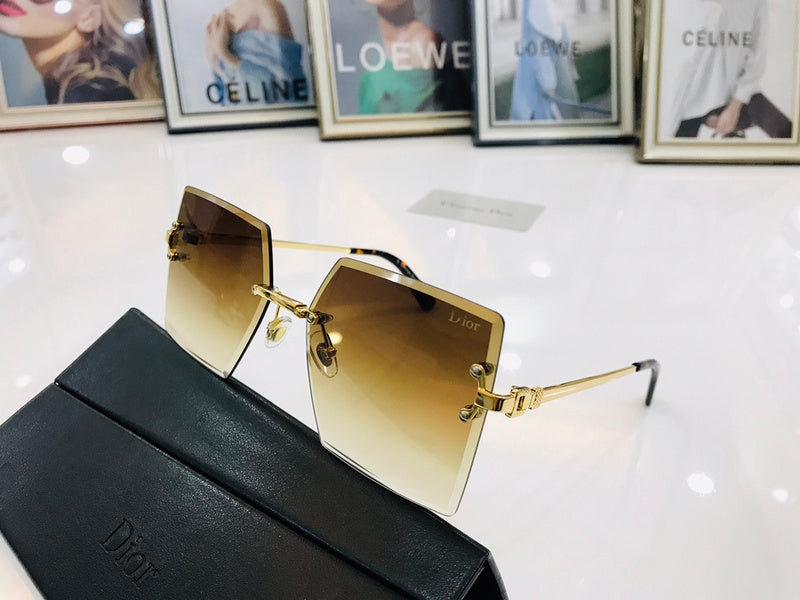 OZ - Dir Sunglasses - 120