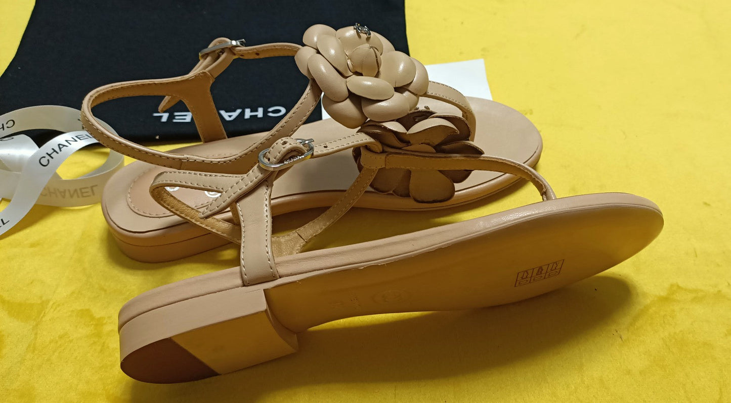 Luxury Shoes Sandals - CHL - 834