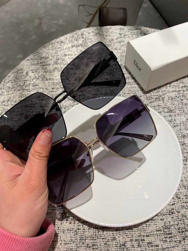 OZ - Dir Sunglasses - 108