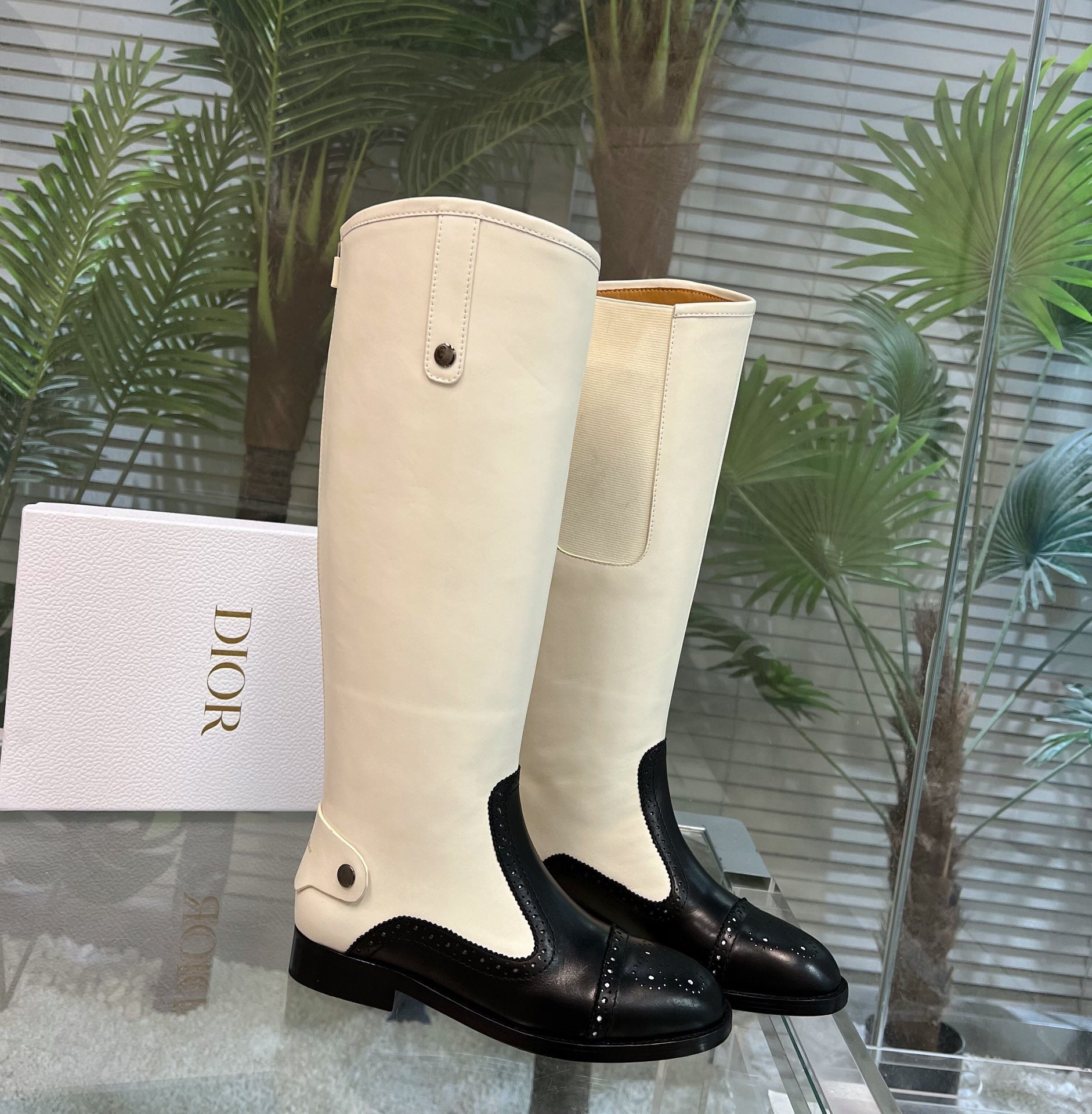 Luxury Shoes - DIR - 789