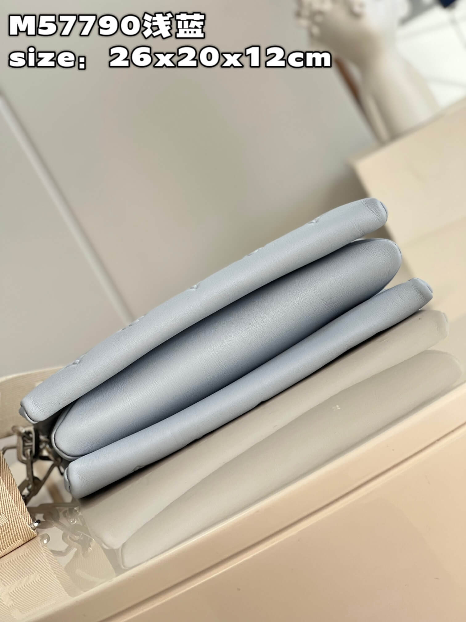 M21192 COUSSIN MM 34cm/M59277 PM 26cm Monogram light blue