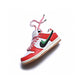 BL - Frame Skate x NKE SB Dunk Low