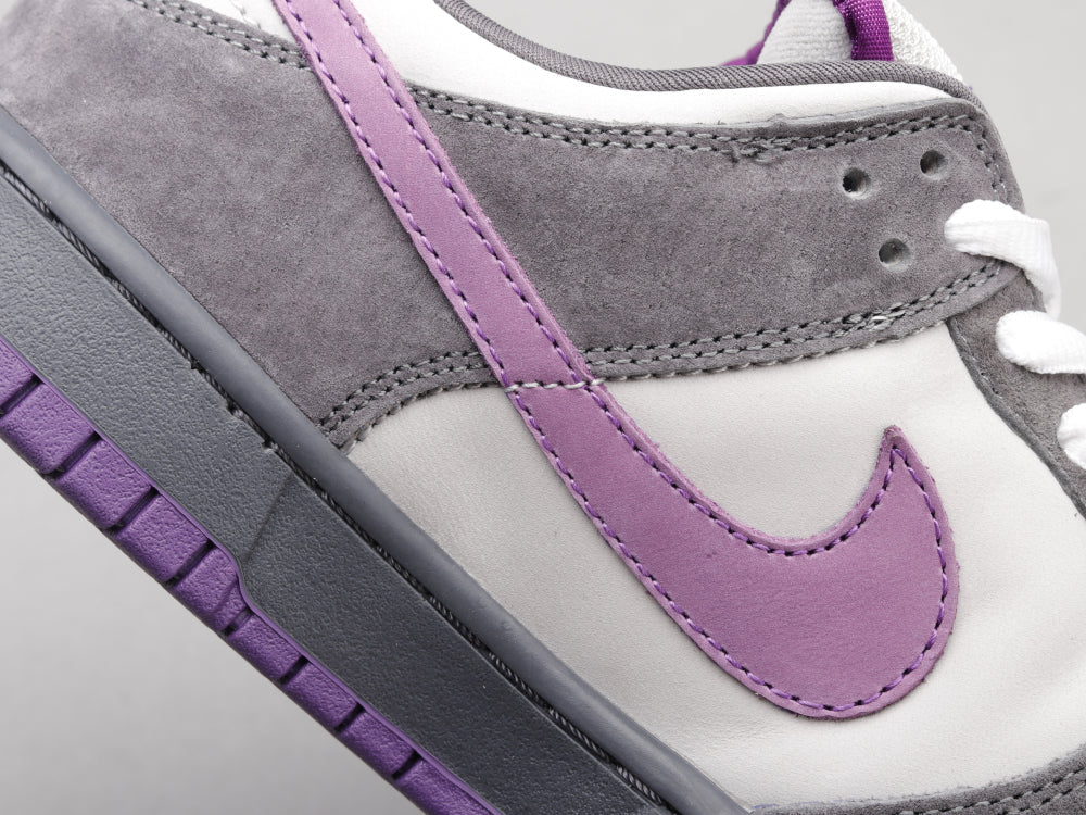 BL - Grey-purple pigeon