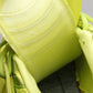 BL - Bla Track FluoresBLnt Yellow Sneaker