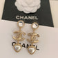 BL - High Quality Earring CHL 033