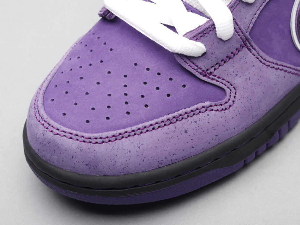 BL - Concepts Purple Lobster