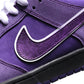 BL - Concepts Purple Lobster