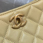 ChanelHobo Handbag Beige Bag For Women 16cm/6in