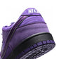 BL - Concepts Purple Lobster