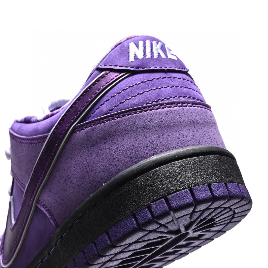 BL - Concepts Purple Lobster