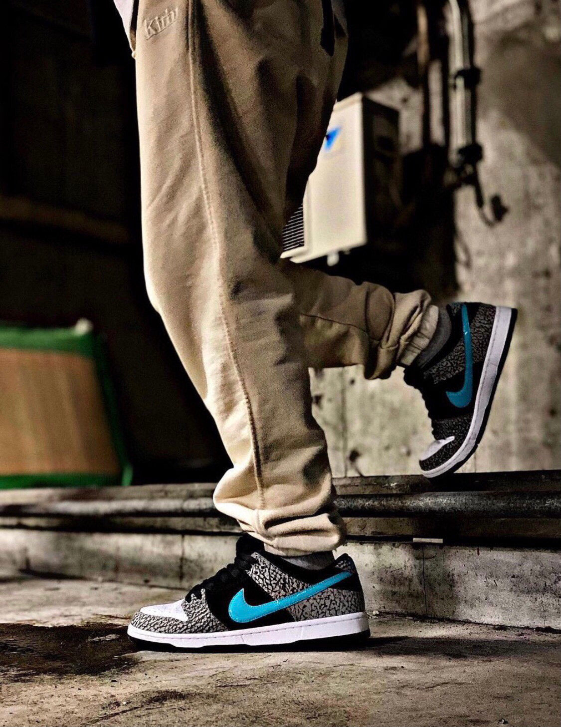 BL - Elephant burst crack