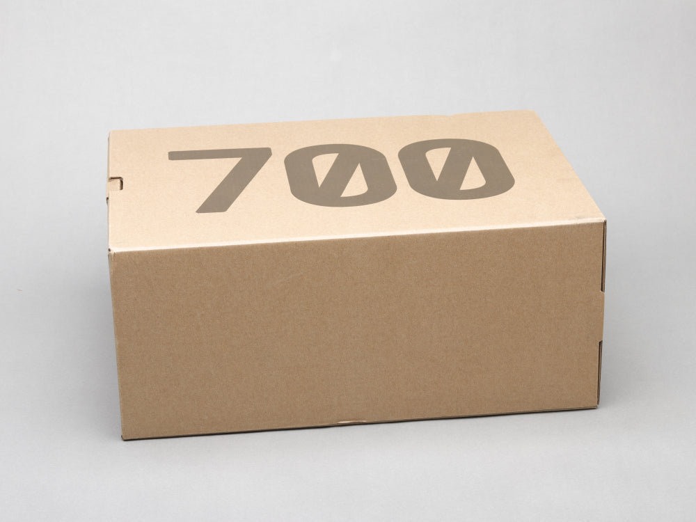 BL - Yzy 700 Arzareth Sneaker