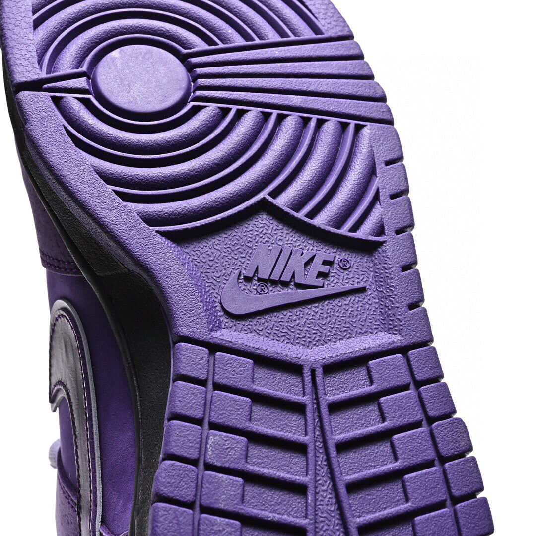 BL - Concepts Purple Lobster