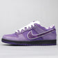 BL - Concepts Purple Lobster